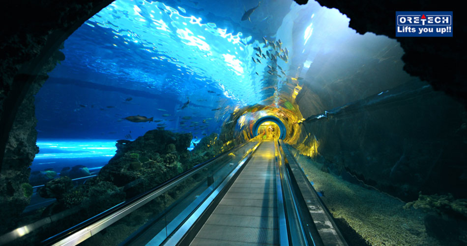 پله-برقی-زیر-آب-در-تایوان